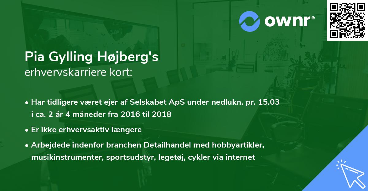 Pia Gylling Højberg's erhvervskarriere kort