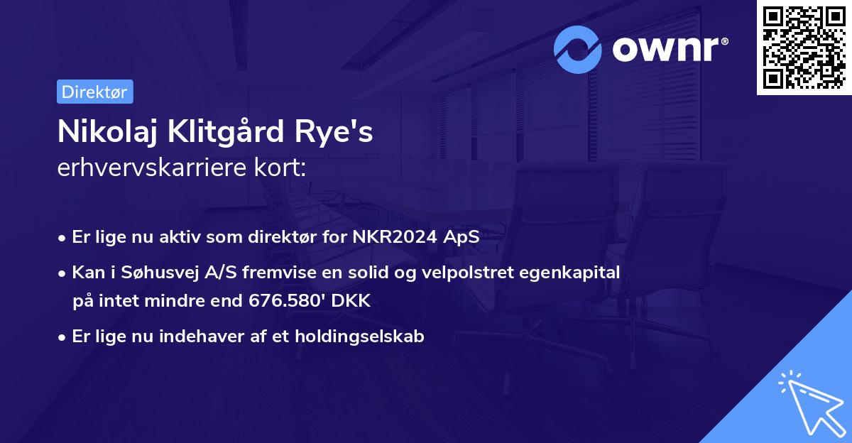 Nikolaj Klitgård Rye's erhvervskarriere kort