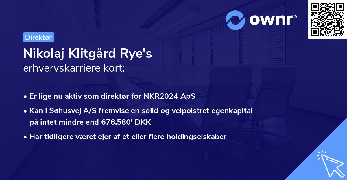 Nikolaj Klitgård Rye's erhvervskarriere kort