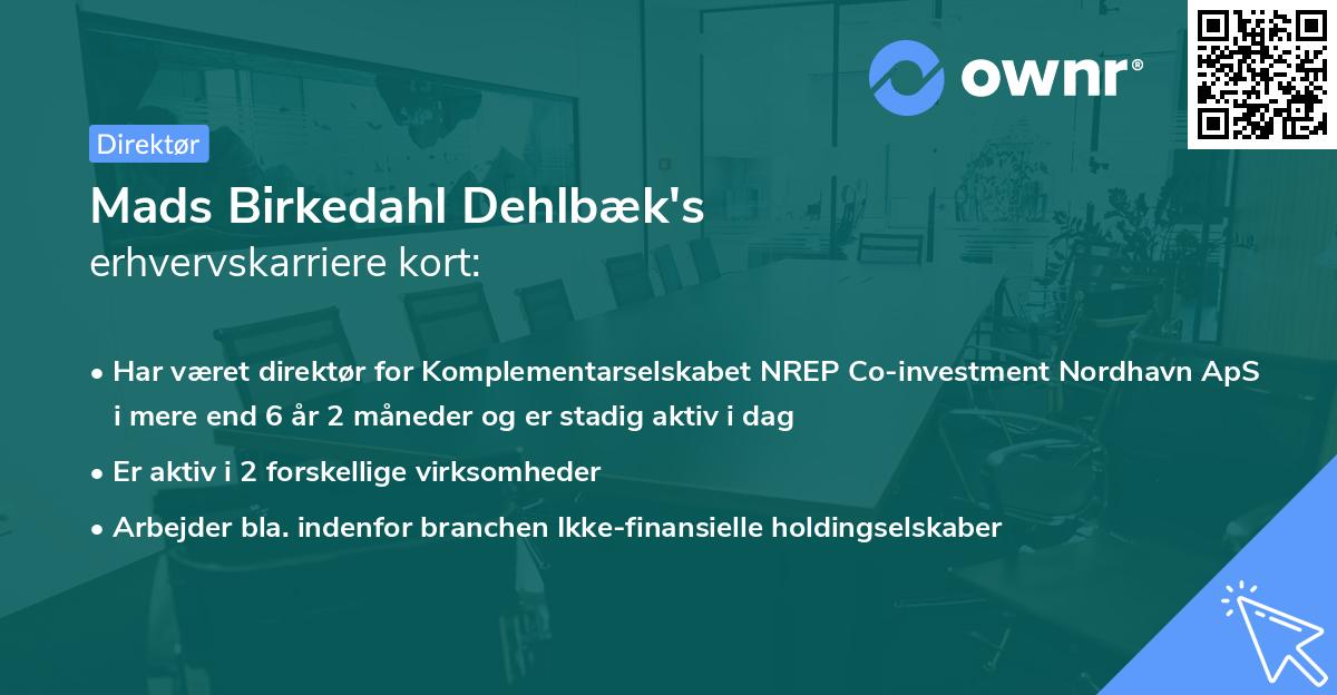 Mads Birkedahl Dehlbæk's erhvervskarriere kort