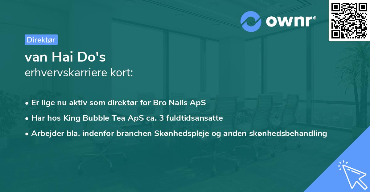 van Hai Do's erhvervskarriere kort