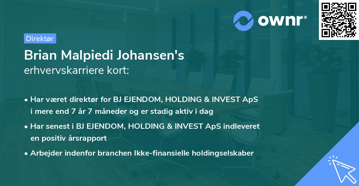Brian Malpiedi Johansen's erhvervskarriere kort