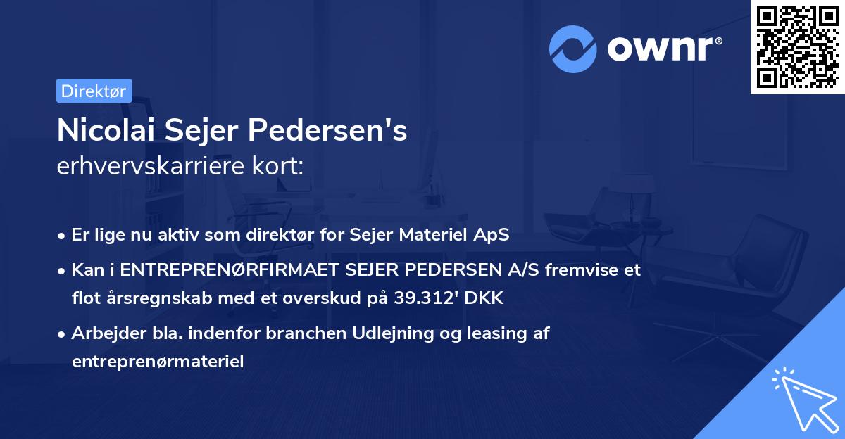 Nicolai Sejer Pedersen's erhvervskarriere kort