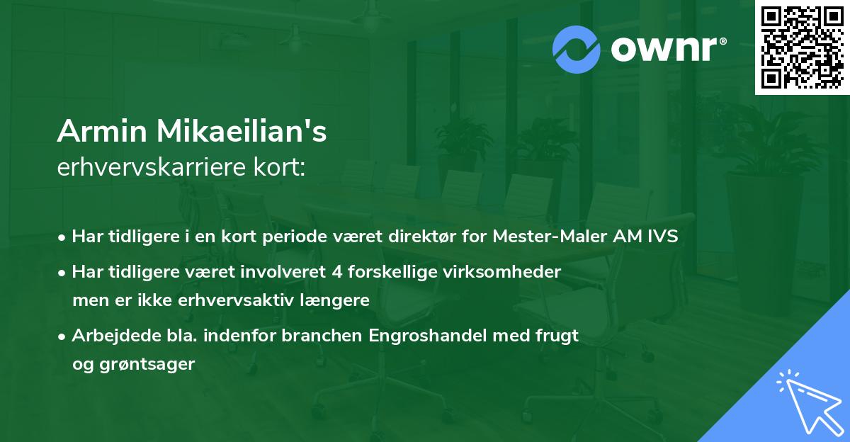 Armin Mikaeilian's erhvervskarriere kort