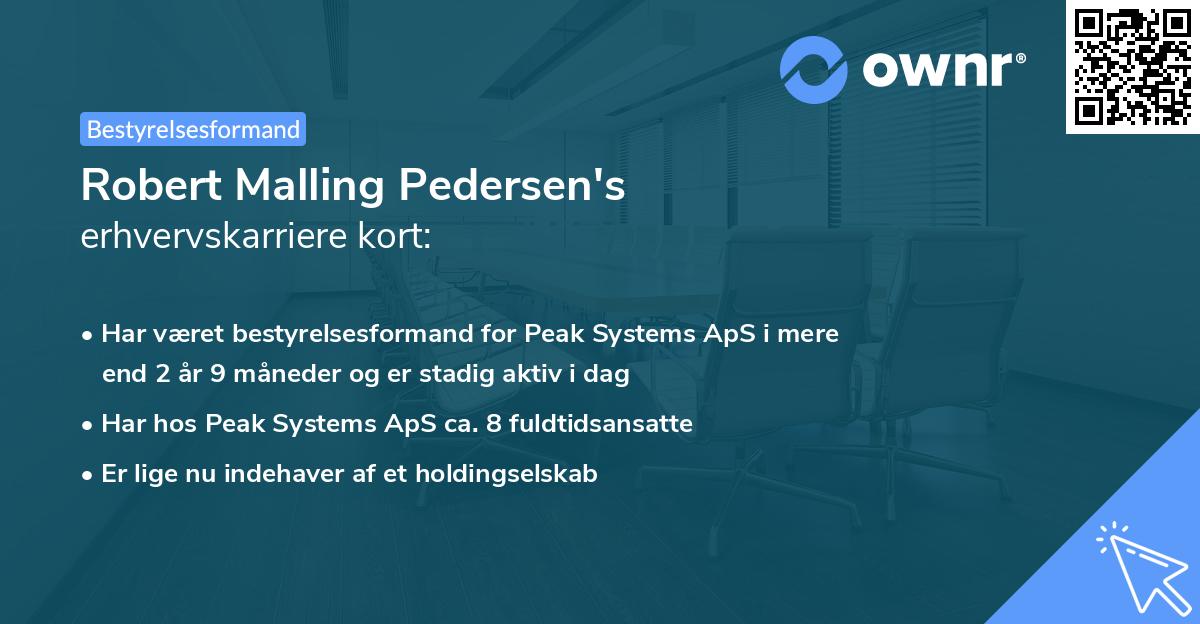 Robert Malling Pedersen's erhvervskarriere kort