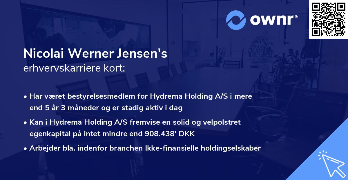 Nicolai Werner Jensen's erhvervskarriere kort