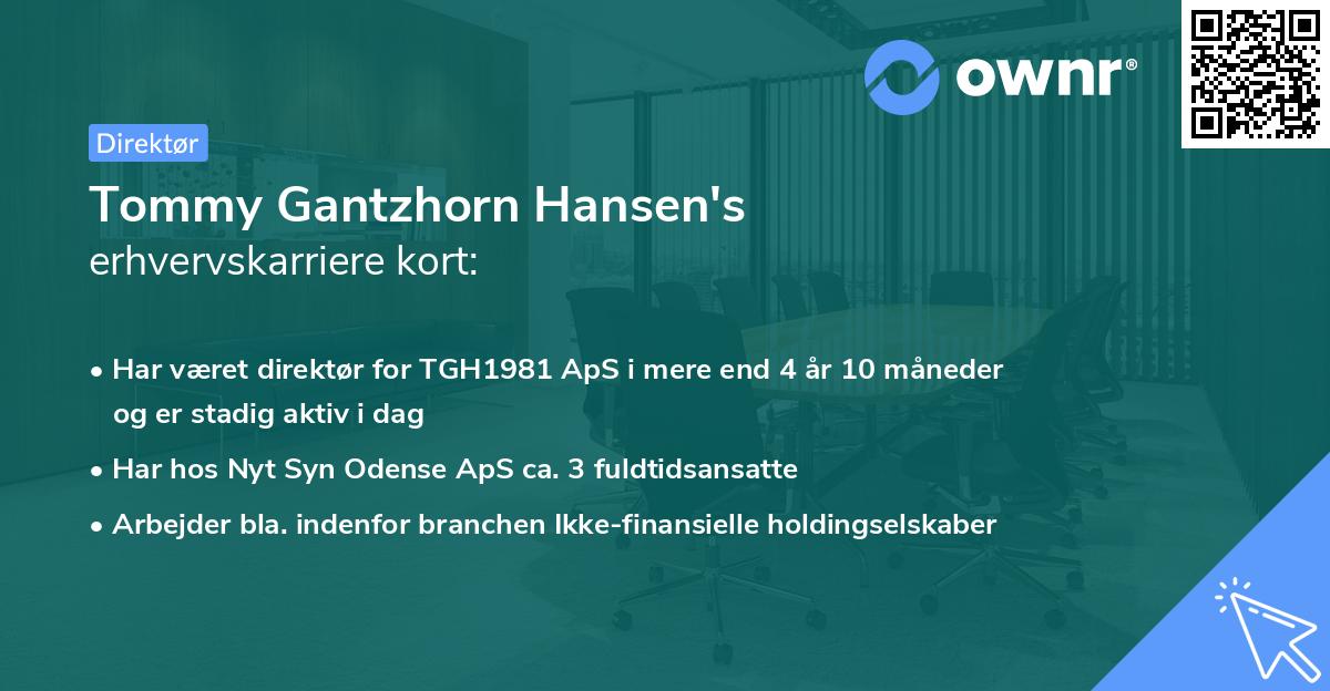 Tommy Gantzhorn Hansen's erhvervskarriere kort