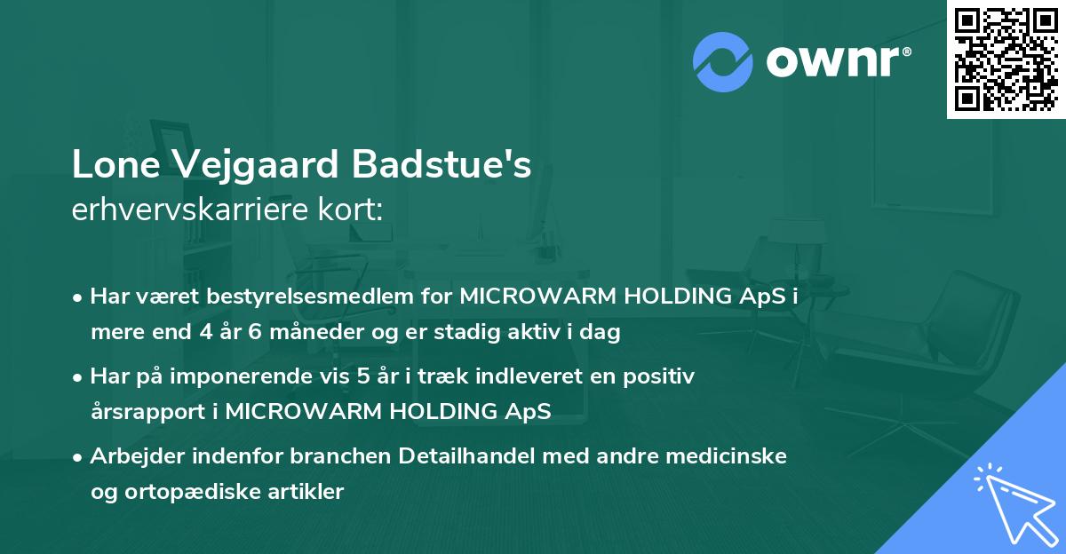 Lone Vejgaard Badstue's erhvervskarriere kort