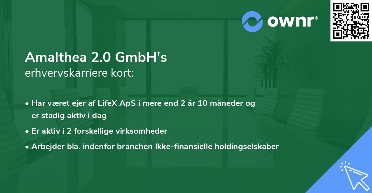 Amalthea 2.0 GmbH's erhvervskarriere kort