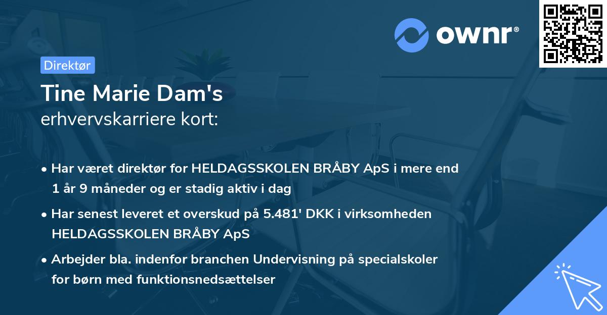 Tine Marie Dam's erhvervskarriere kort