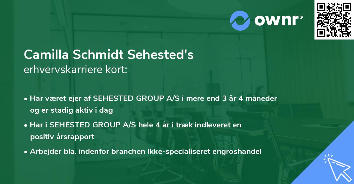 Camilla Schmidt Sehested's erhvervskarriere kort