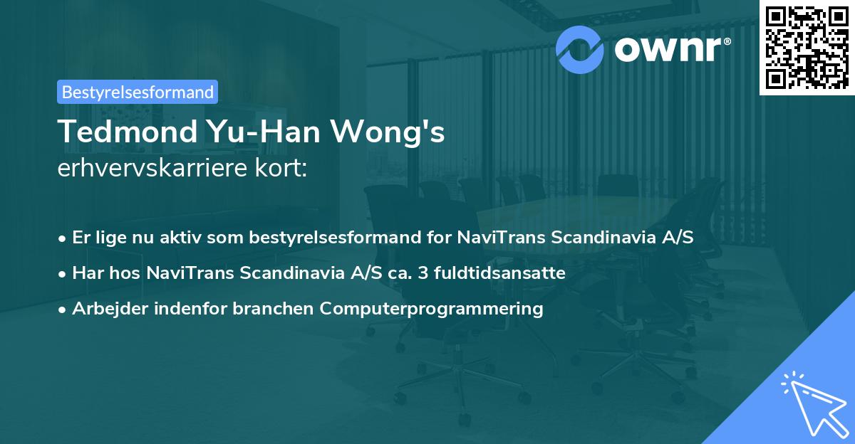 Tedmond Yu-Han Wong's erhvervskarriere kort