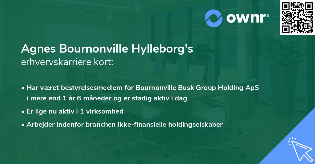 Agnes Bournonville Hylleborg's erhvervskarriere kort