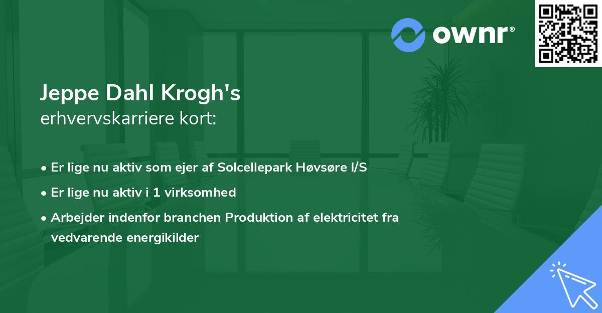 Jeppe Dahl Krogh's erhvervskarriere kort