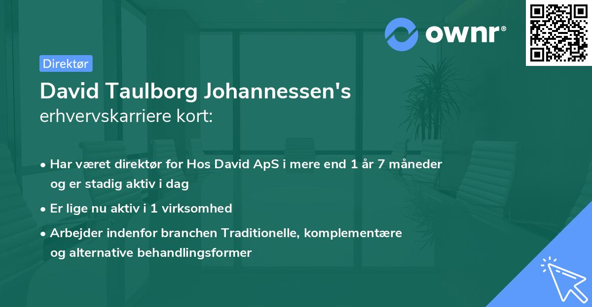 David Taulborg Johannessen's erhvervskarriere kort