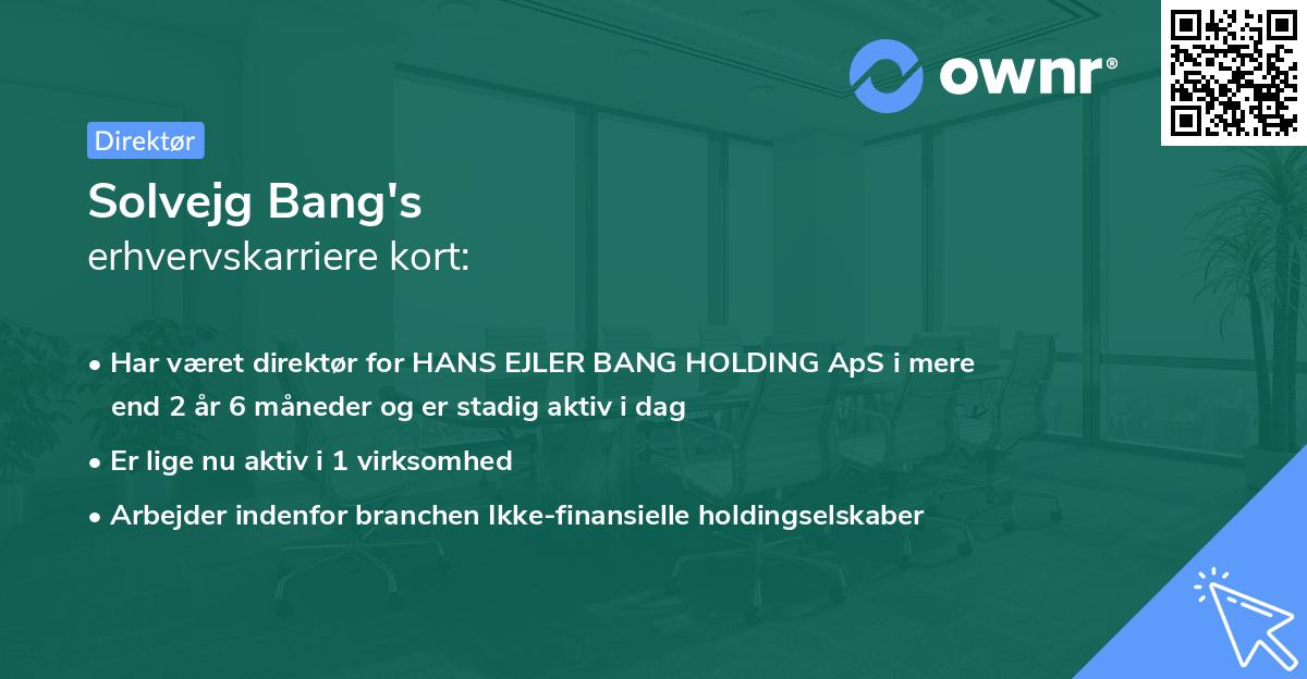Solvejg Bang's erhvervskarriere kort