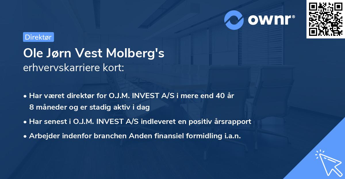 Ole Jørn Vest Molberg's erhvervskarriere kort