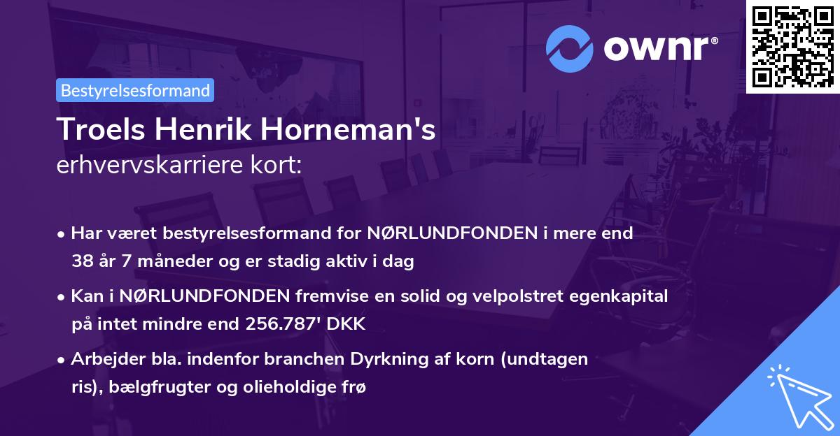 Troels Henrik Horneman's erhvervskarriere kort