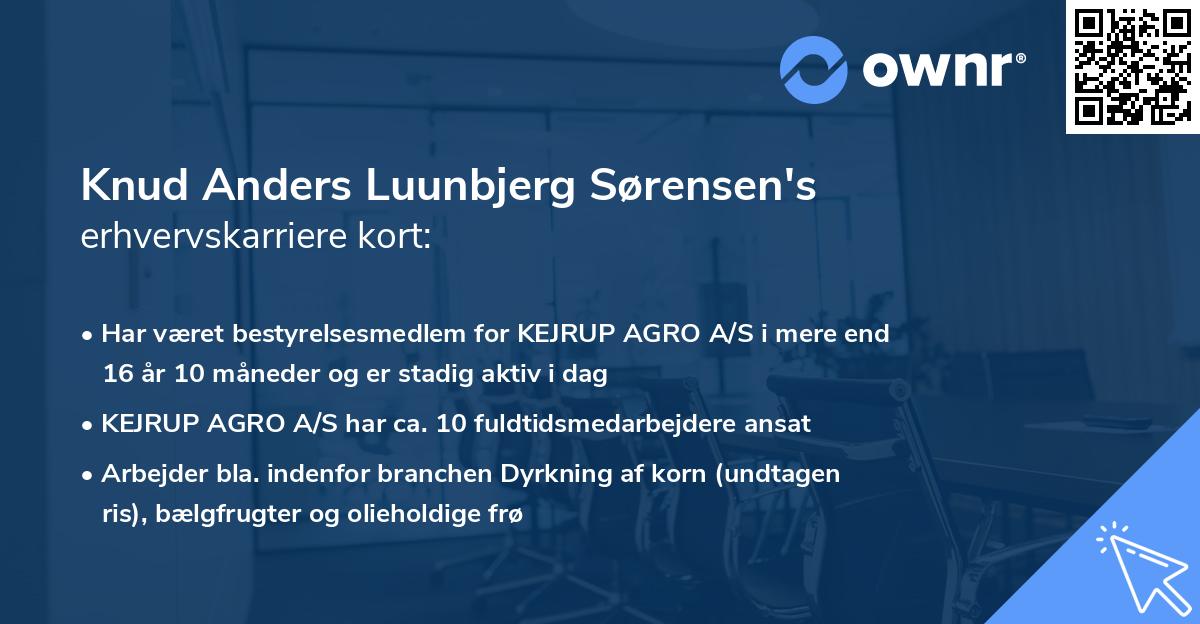 Knud Anders Luunbjerg Sørensen's erhvervskarriere kort