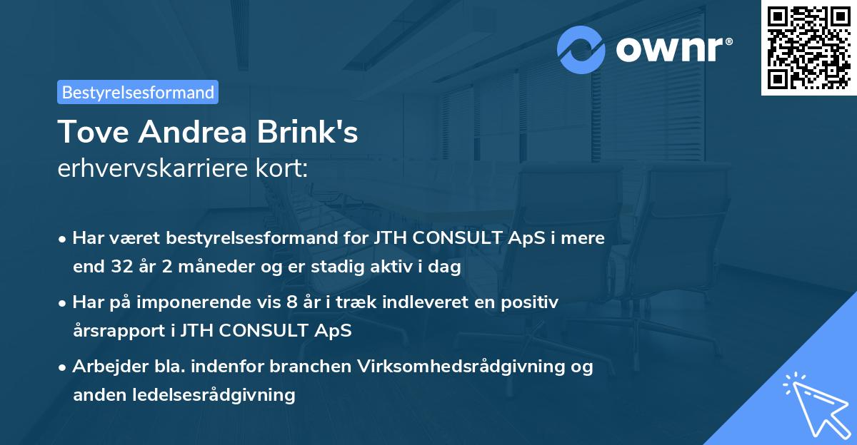Tove Andrea Brink's erhvervskarriere kort