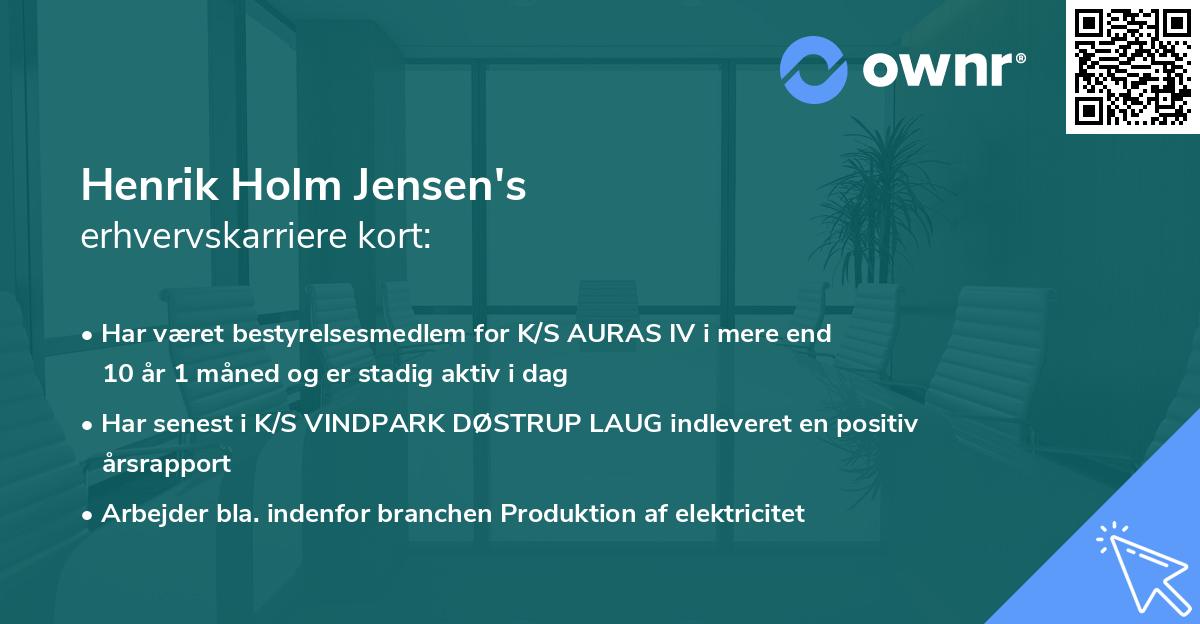 Henrik Holm Jensen's erhvervskarriere kort