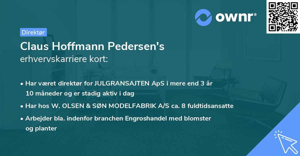 Claus Hoffmann Pedersen's erhvervskarriere kort