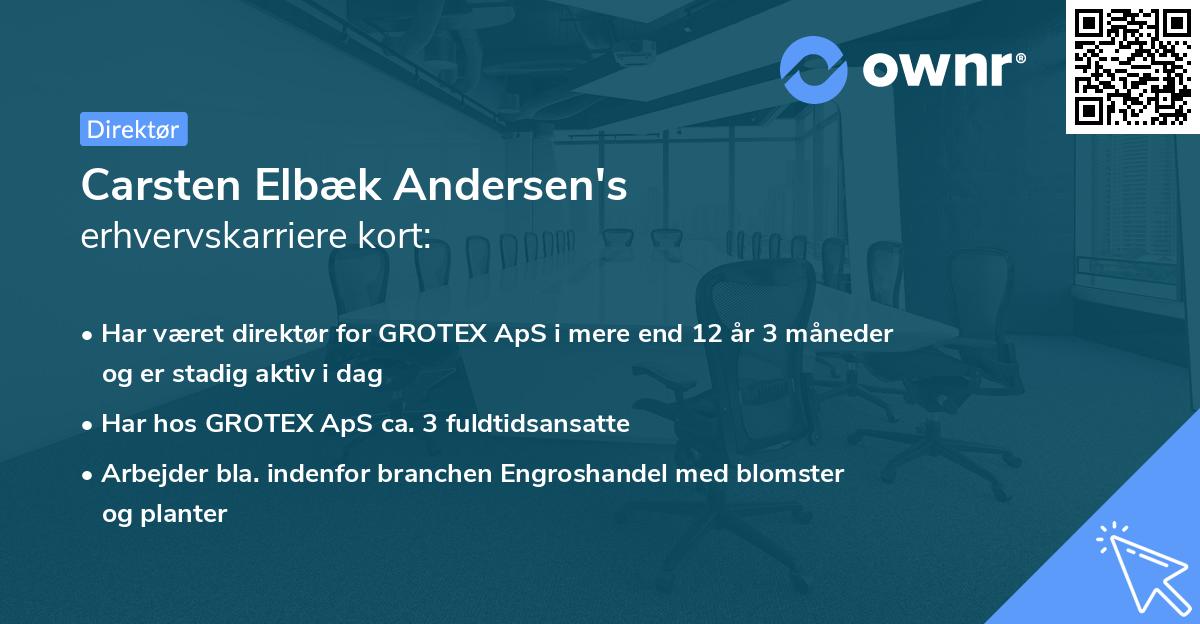 Carsten Elbæk Andersen's erhvervskarriere kort