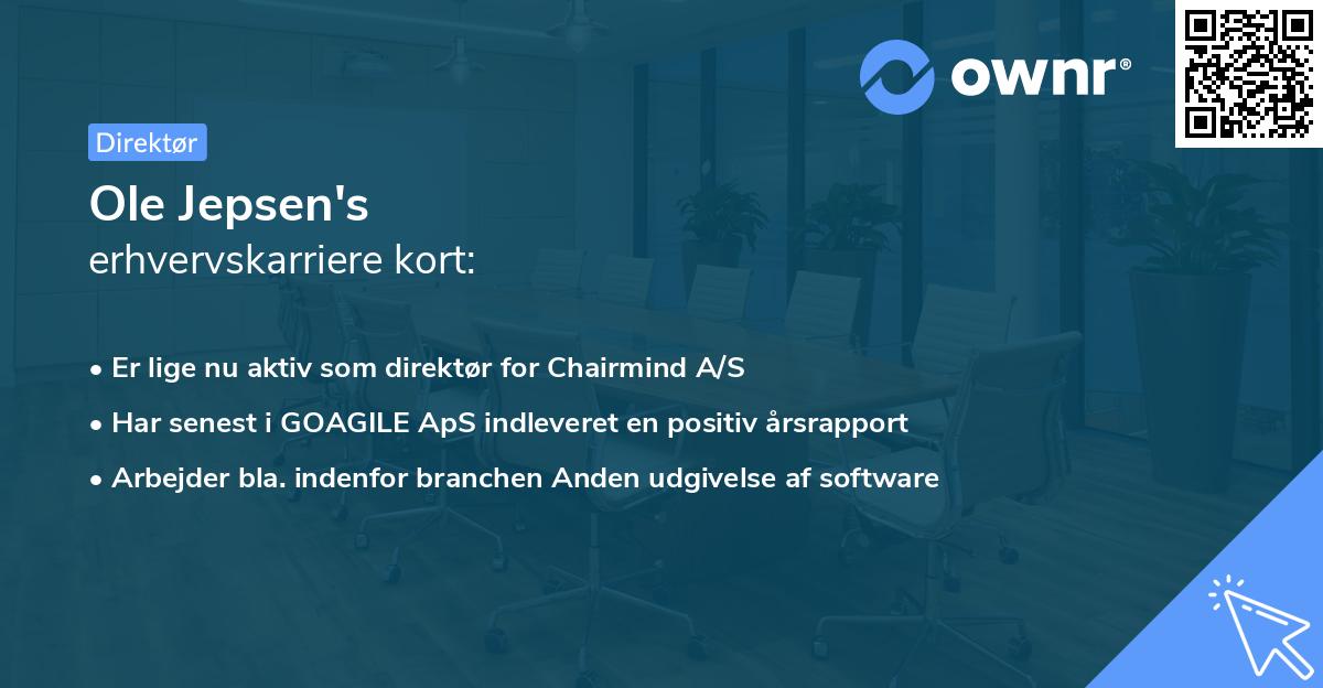 Ole Jepsen's erhvervskarriere kort