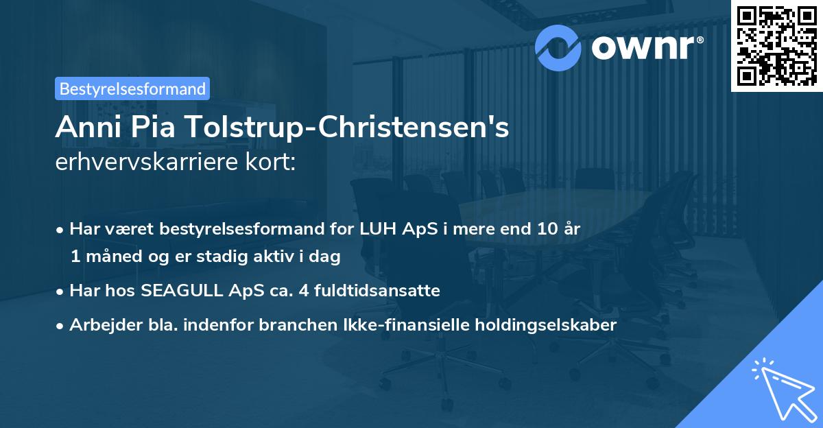 Anni Pia Tolstrup-Christensen's erhvervskarriere kort