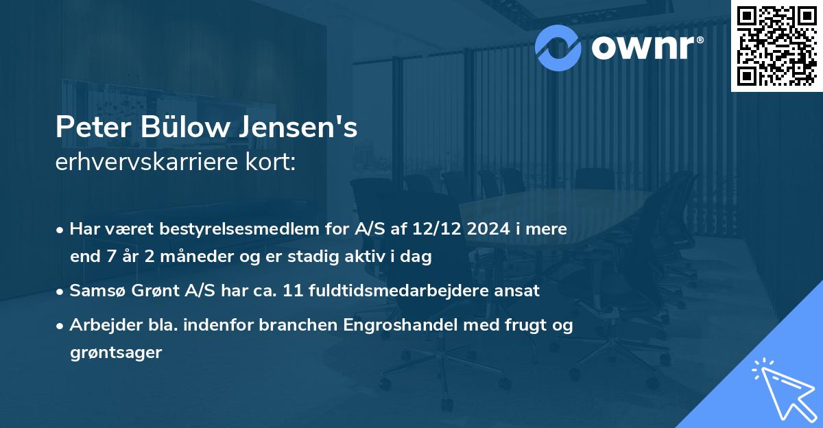 Peter Bülow Jensen's erhvervskarriere kort