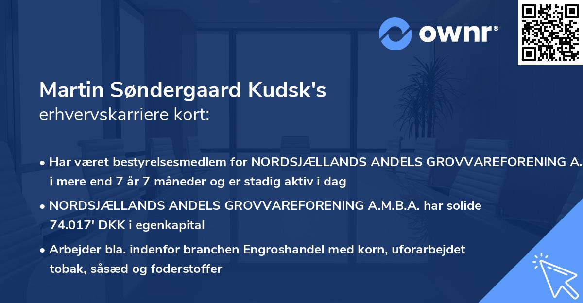 Martin Søndergaard Kudsk's erhvervskarriere kort