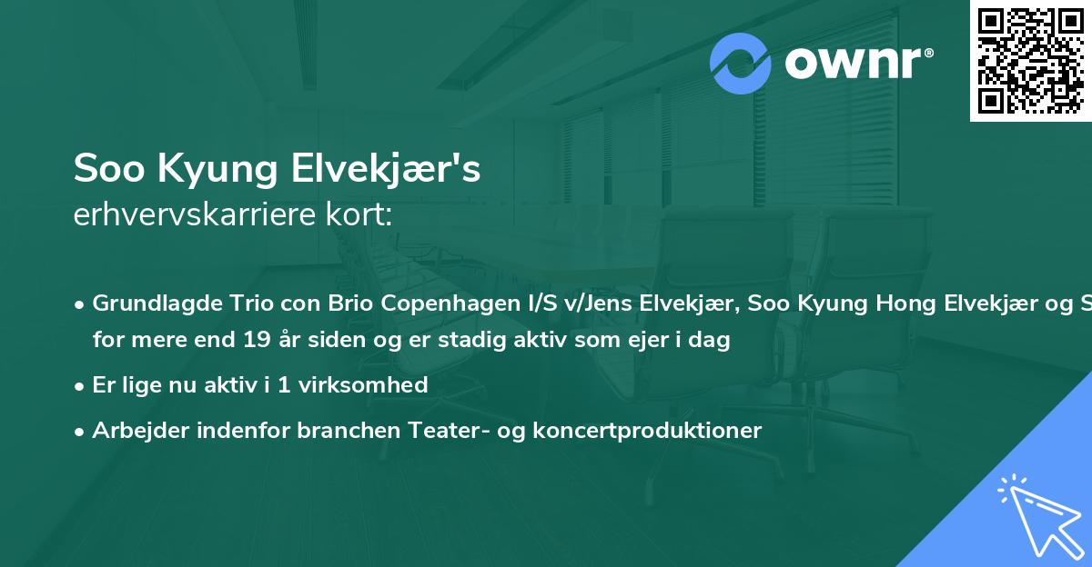 Soo Kyung Elvekjær's erhvervskarriere kort