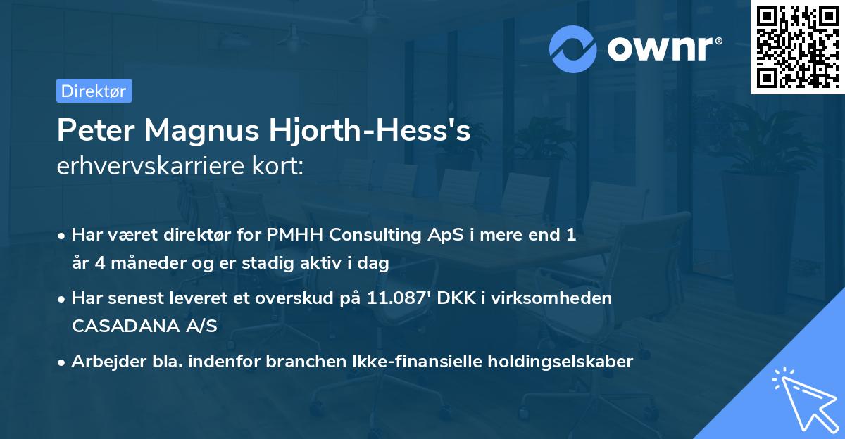 Peter Magnus Hjorth-Hess's erhvervskarriere kort