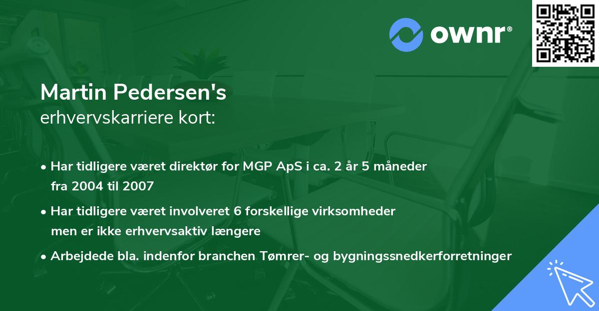 Martin Pedersen's erhvervskarriere kort