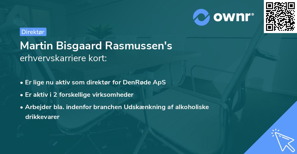 Martin Bisgaard Rasmussen's erhvervskarriere kort