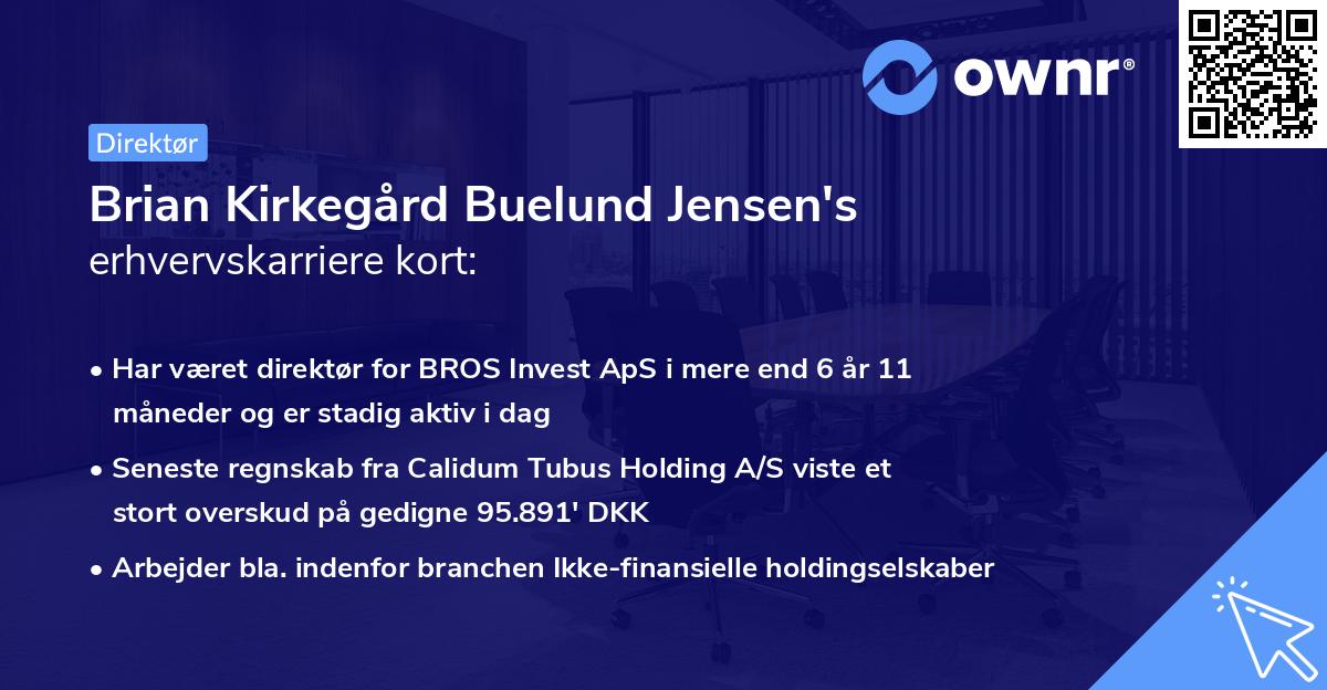 Brian Kirkegård Buelund Jensen's erhvervskarriere kort