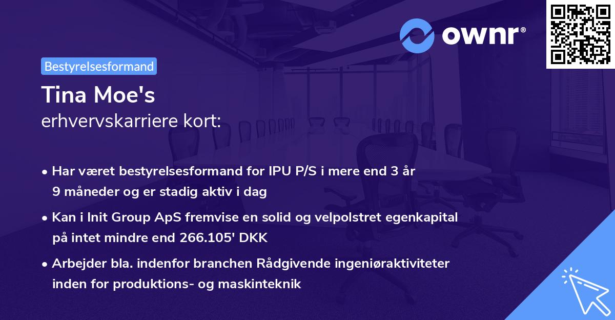 Tina Moe's erhvervskarriere kort