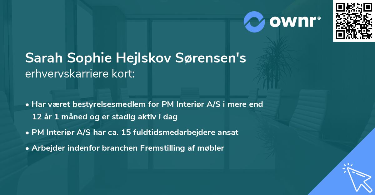 Sarah Sophie Hejlskov Sørensen's erhvervskarriere kort