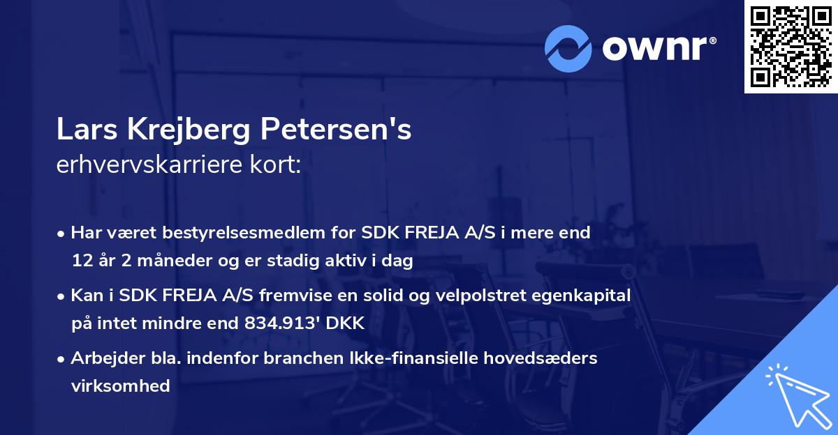 Lars Krejberg Petersen's erhvervskarriere kort