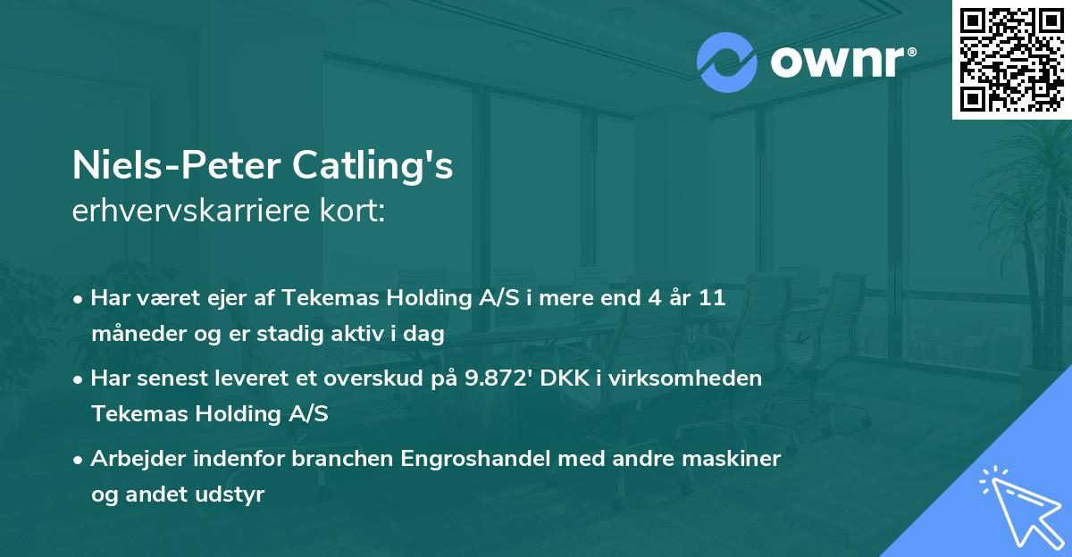 Niels-Peter Catling's erhvervskarriere kort