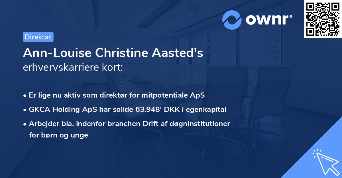 Ann-Louise Christine Aasted's erhvervskarriere kort