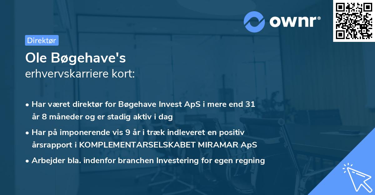 Ole Bøgehave's erhvervskarriere kort