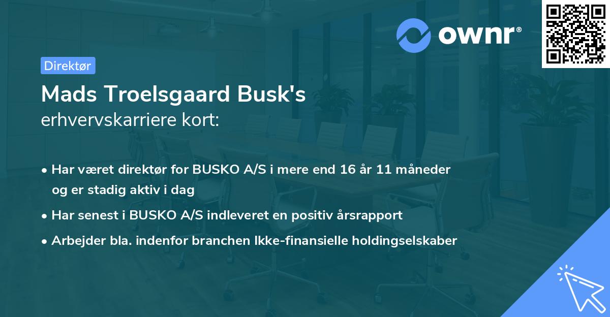 Mads Troelsgaard Busk's erhvervskarriere kort