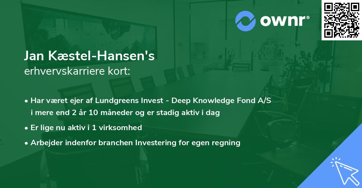 Jan Kæstel-Hansen's erhvervskarriere kort