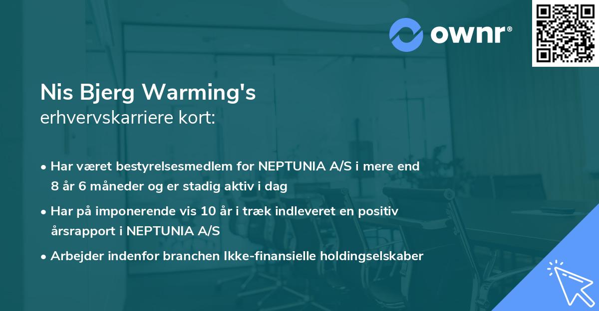 Nis Bjerg Warming's erhvervskarriere kort