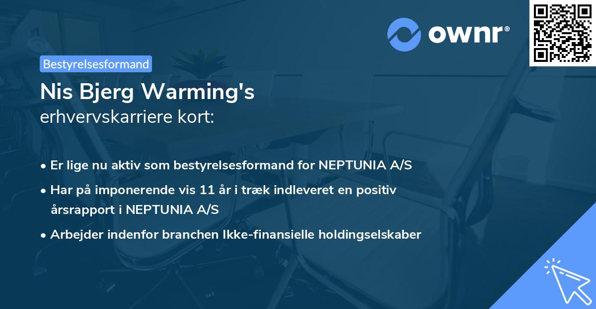 Nis Bjerg Warming's erhvervskarriere kort