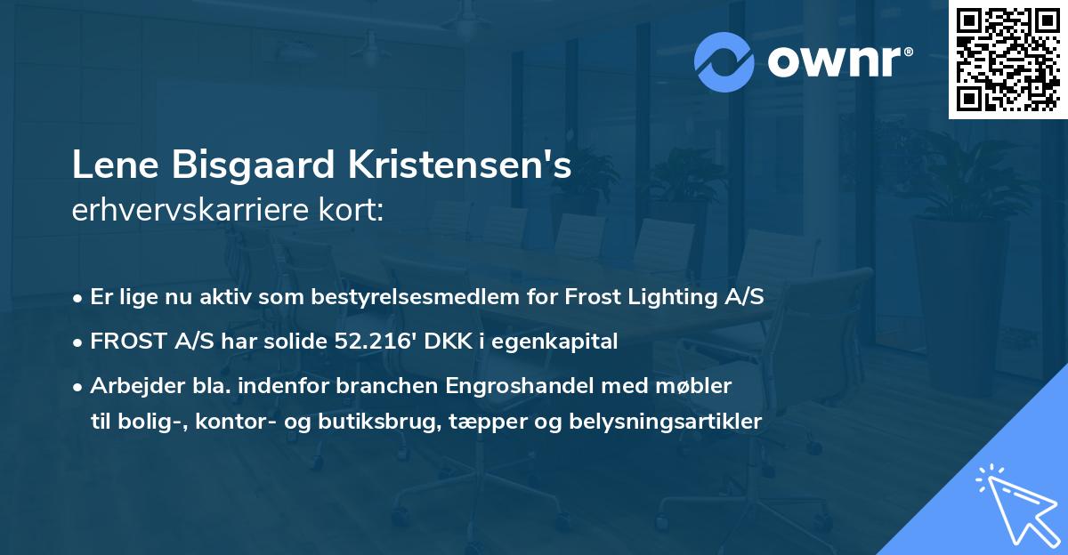 Lene Bisgaard Kristensen's erhvervskarriere kort
