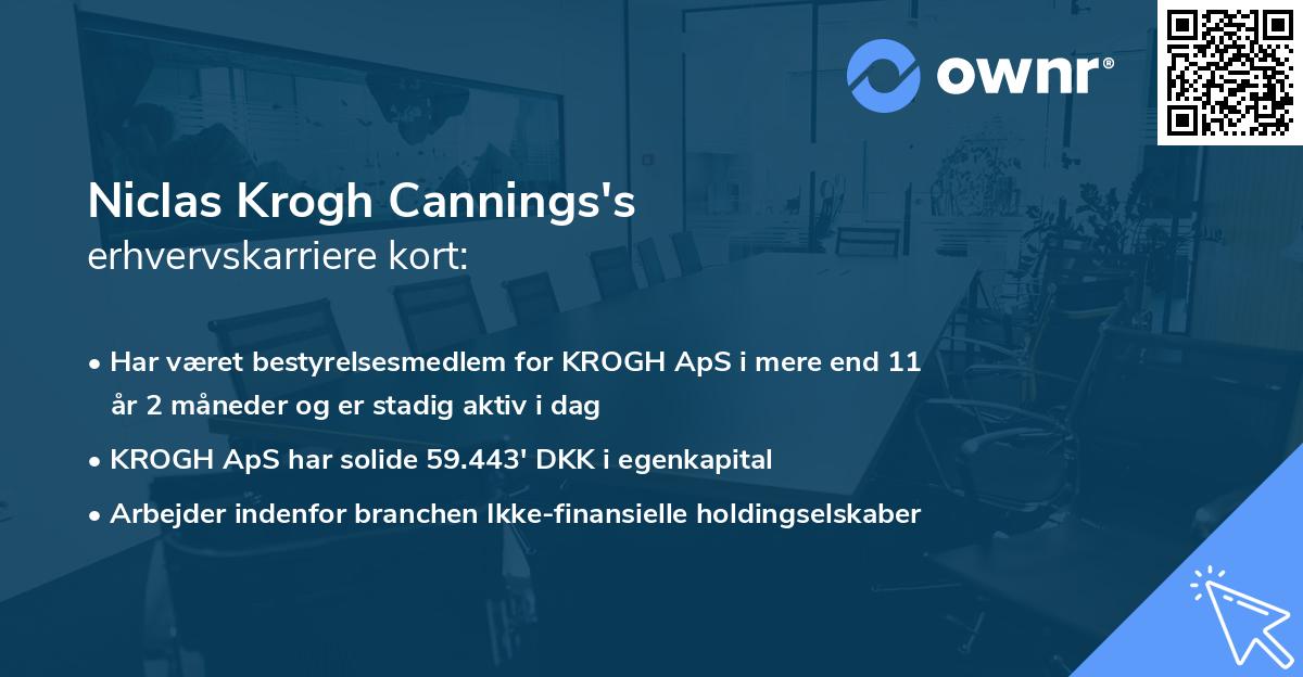 Niclas Krogh Cannings's erhvervskarriere kort