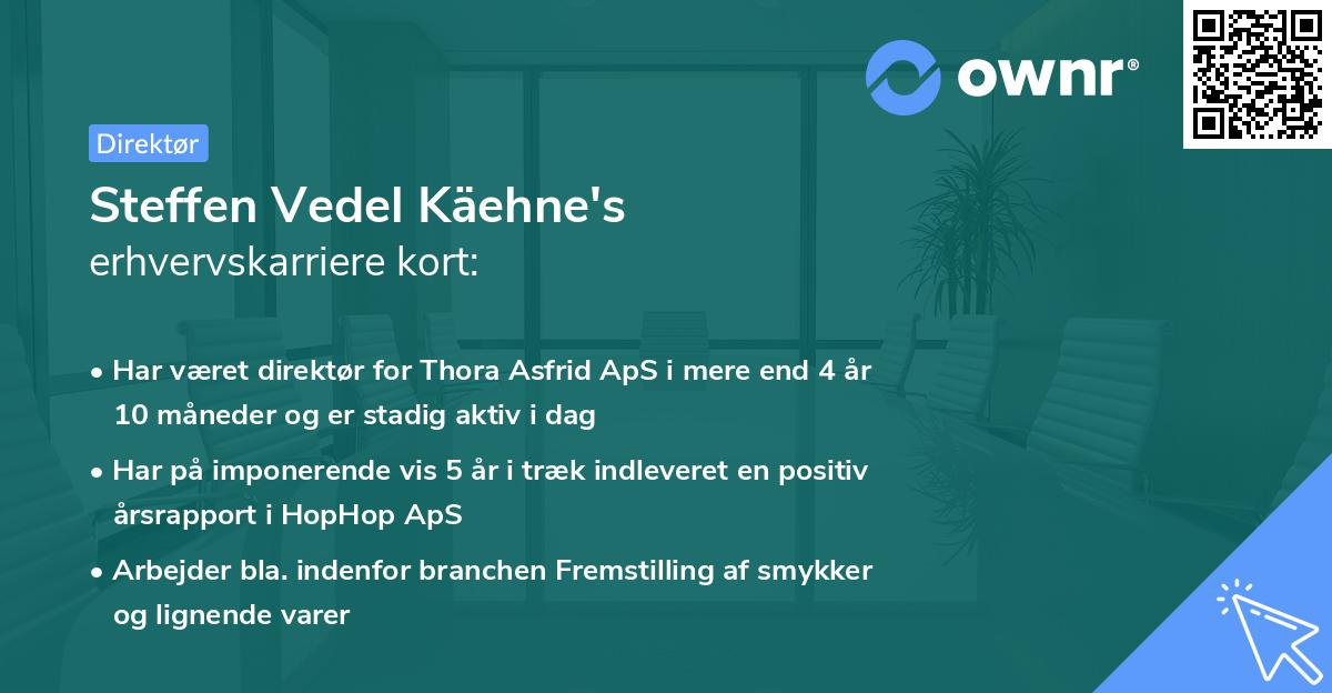 Steffen Vedel Käehne's erhvervskarriere kort