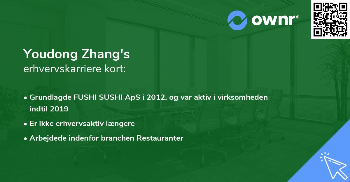 Youdong Zhang's erhvervskarriere kort